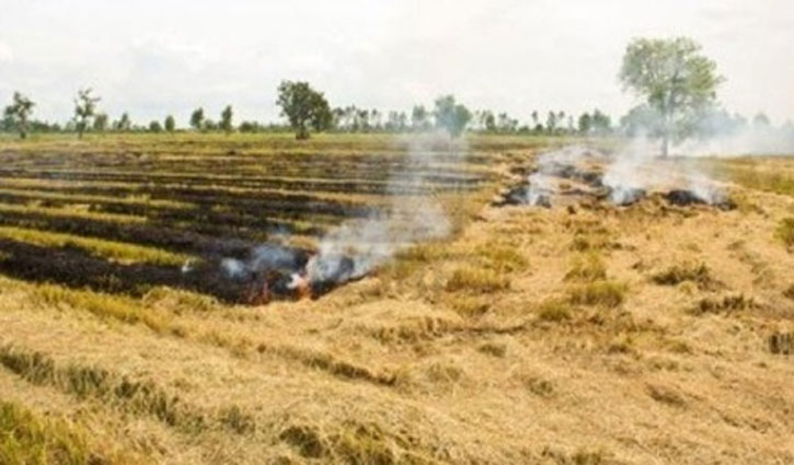 Less incidents of stubble burning in 2021 as compared to last year