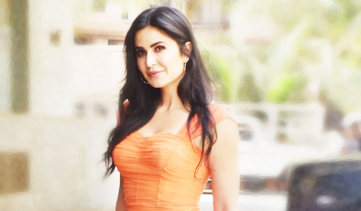 Katrina Kaif got trolled and troll got this answer