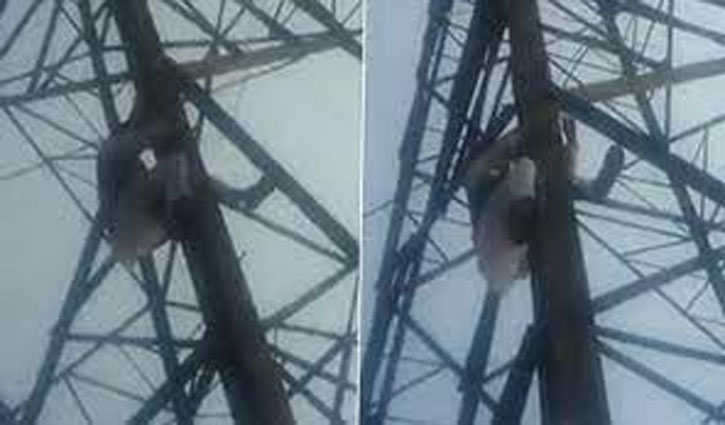 MCD elections: Former Aam Aadmi Party councilor climbs tower after not getting ticket, threatens to commit suicide