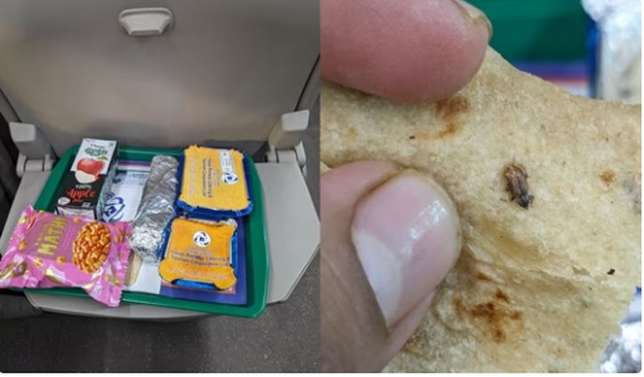 Cockroach found in food served on Vande Bharat Express, IRCTC responds