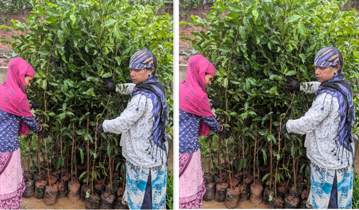Adani Group will give 11 lakh saplings to Indore, Madhya Pradesh as part of its pledge to plant 100 million trees