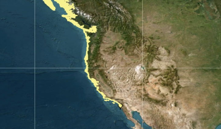 Powerful earthquake of 8.8 magnitude hits Kamchatka, Russia, tsunami warning in Pacific region, alert in Hawaii and Japan