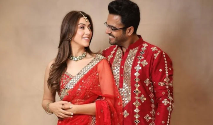 Hansika Motwani and Sohail Khaturia's relationship in trouble? Wedding photos removed from social media
