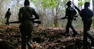 Security forces got huge success in Chhattisgarh, more than 35 Naxalites killed