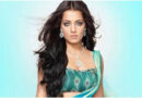 Celina Jaitly urged women to secure their assets before marriage