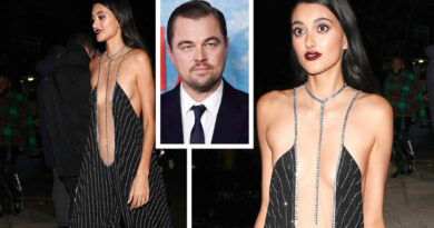 Who is Indian-origin model Neelam Gill dating Hollywood superstar Leonardo DiCaprio?