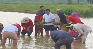 Rahul Gandhi planted paddy with farmers in Sonepat, Haryana