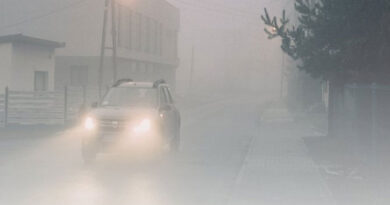 Cold wave hits North India: Mercury drops, dense fog in many cities