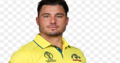 Australian player Marcus Stoinis ruled out of New Zealand T20 series due to back injury