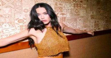 Katy Perry in news for wardrobe malfunction in 'American Idol'
