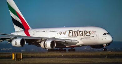Mumbai: 36 flamingo birds die after being hit by Emirates flight