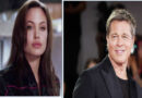 Angelina Jolie: Lost the 'will to fight' after divorce from Brad Pitt.