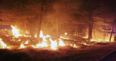 11 people killed in devastating forest fire in Los Angeles, death toll feared to rise