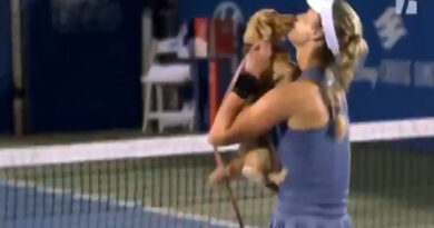 Anna Kalinskaya's cute dog 'Bella' ran on the court to celebrate her victory in the Washington Open, winning the hearts of the audience
