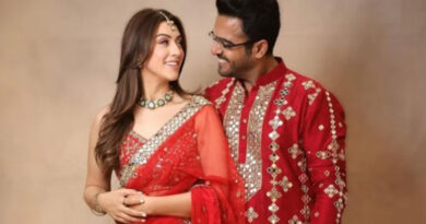 Hansika Motwani and Sohail Khaturia's relationship in trouble? Wedding photos removed from social media