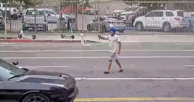 US cops shoot dead Sikh man performing gatka on road, release footage