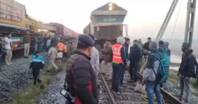 Assam: Eight elephants were tragically killed after being hit by the Rajdhani Express; five train carriages derailed.