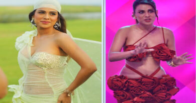 Nia Sharma said, "I only care about outfits."