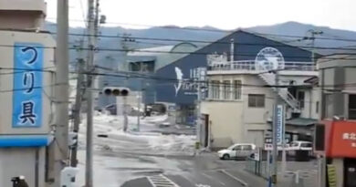 A tsunami struck Northern Japan following a powerful earthquake; a warning has been issued to stay away from coastal areas.