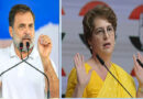 राहुल और प्रियंका गांधी के खिलाफ वायनाड में पोस्टर लगाने वालों पर केस दर्ज Case Registered Against Persons Who Put Up Posters Against Rahul and Priyanka Gandhi in Wayanad