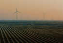 Adani Green becomes the first Indian company to surpass 20 GW of renewable energy capacity.