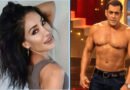 Salman is a hypocrite and an idiot: Sofia Hayat slams Salman Khan for going shirtless on Bigg Boss 20.
