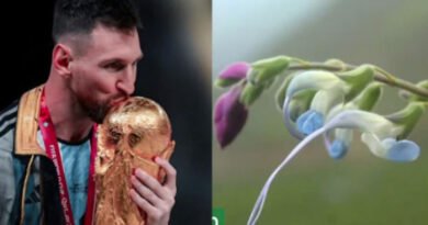 Another achievement for Lionel Messi: a new plant species has been named after him.